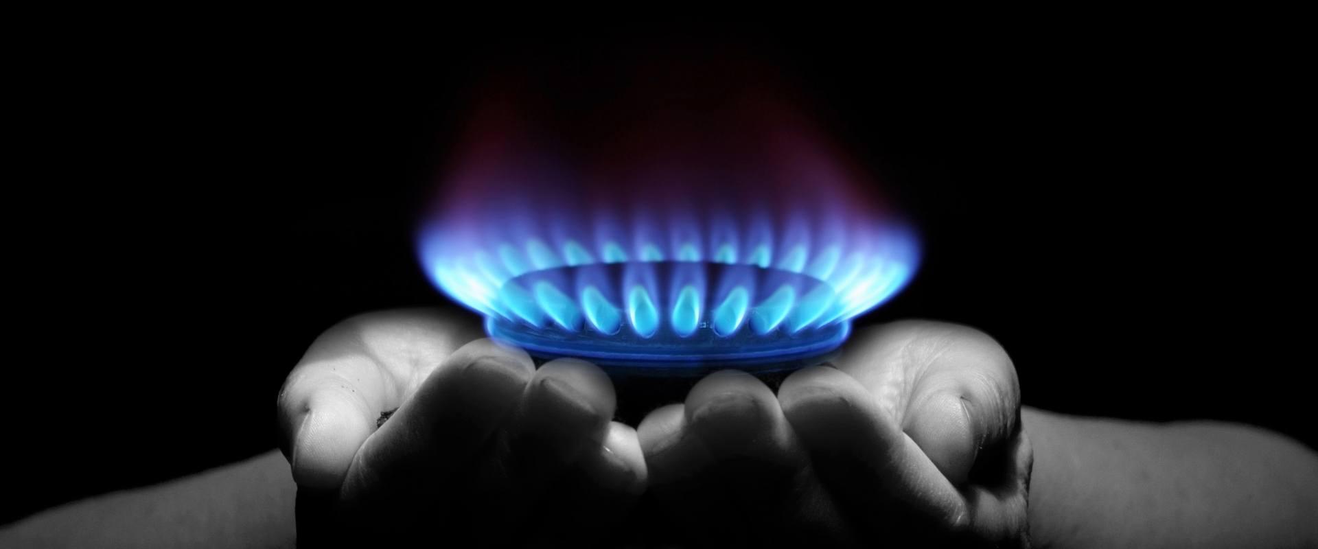 Landlord Gas Safety &amp; Boiler Service